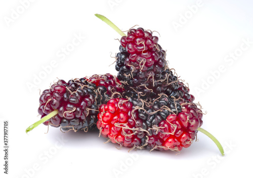 Isolated of fresh organic mulberries fruit on white background with clipping path.
