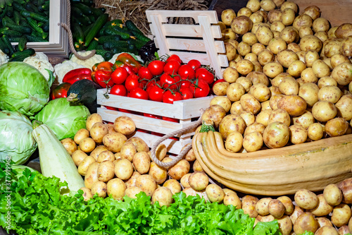 Crop of vegetables. Autumn ...