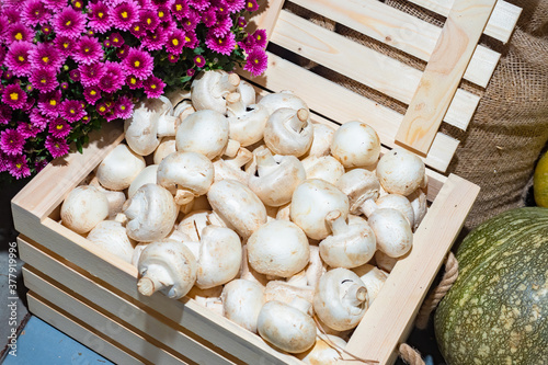 Champignons in the box. Mus...