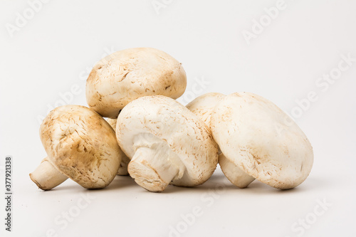 Fresh Champignon mushroom, isolated on white background. Close-up