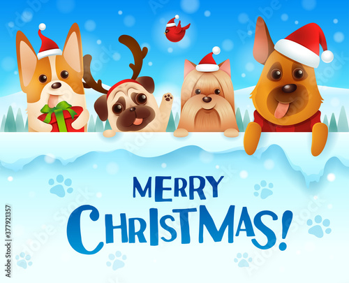 Merry Christmas! Dogs and Puppies with big signboard.