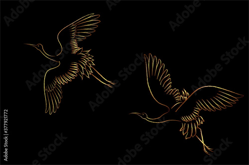 Couple Eastern sarus crane Birds flying over the sky