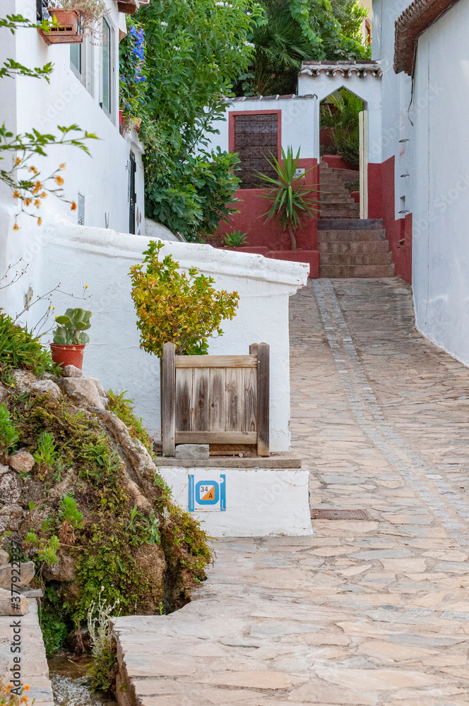 Naklejka premium Nacimiento de agua y rincón típico del sur de Andalucía, en monte corto, dentro de la serranía de ronda, málaga.