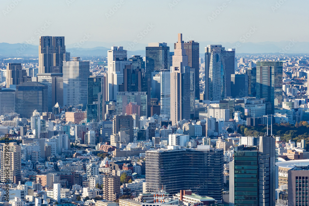 Japan. Panorama of Tokyo on a cloudy day. Cityscape with mountains in the background and grey sky. Skyscrapers of the Japanese capital. Urbanistics. Urban architecture. View of Tokyo from a height.