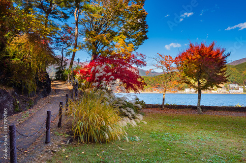 Japan in the fall. Autumn l...