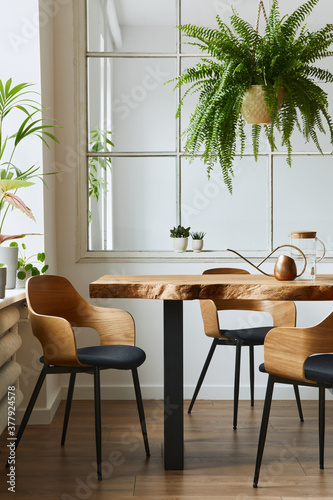 Stylish and botany interior of dining room with design craft wooden table, chairs, a lof of plants, window, poster map and elegant accessories in modern home decor. Template. © FollowTheFlow