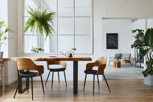 Stylish and botany interior of dining room with design craft wooden table, chairs, a lof of plants, window, poster map and elegant accessories in modern home decor. © FollowTheFlow