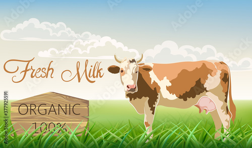 A cow with brown spots looking at the camera with a meadow in background. Org...