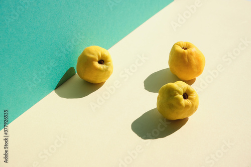 Autumn ripe yellow quince fruits on mint green and yellow layered paper. Minimal style, Fall background, isometric view with shadows from the fruits and eucalyptus twig. photo