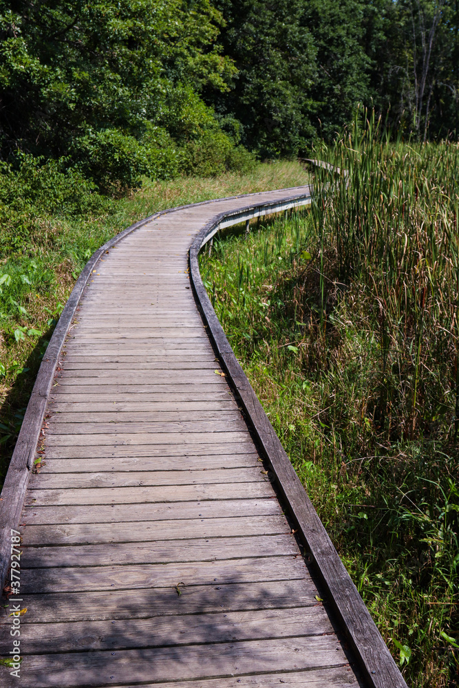 boardwalk section of Appalachian Trail in New Jersey