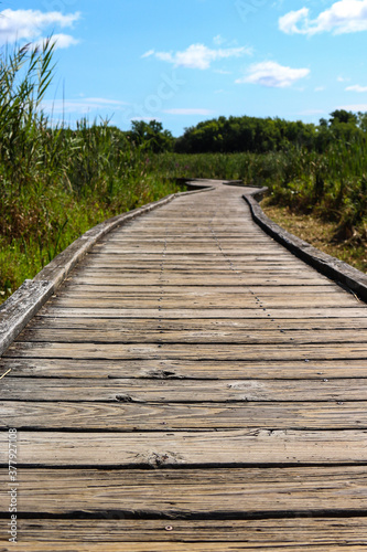 low angle shot of Appalachian Trail boardwalk in New Jersey 