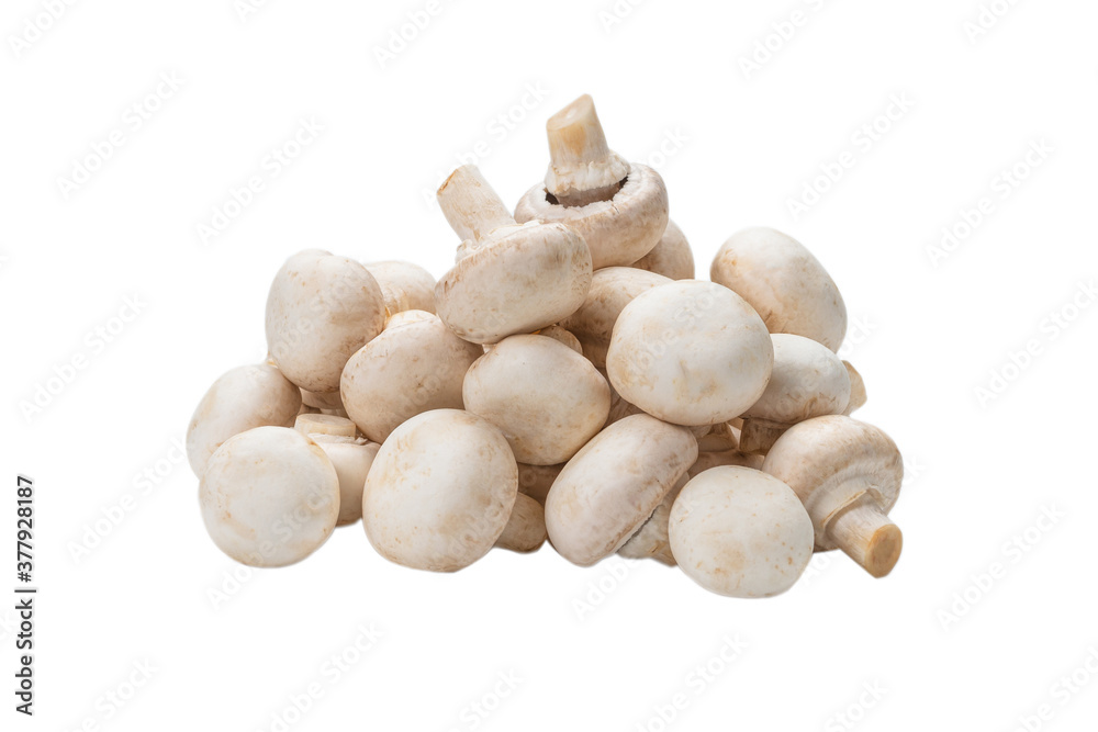 Champignon mushroom isolated on white background. Champignon mushroom isolated on white background.
