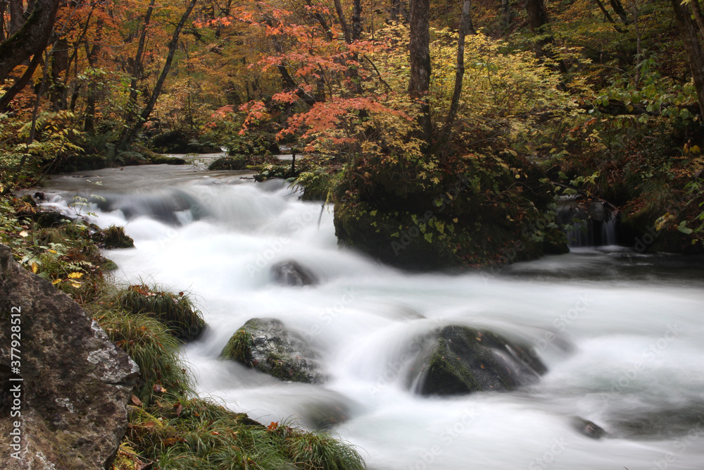 Beautiful Autumn landscape at Oirase Gorge, Aomori, Japan, Asia, Long Exposure
