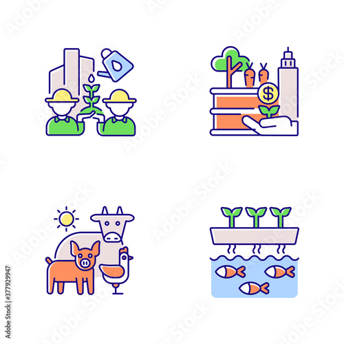 Agribusiness RGB color icons set. Community farming. Tactical garden. Animal husbandry. Aquaponic production. Agricultural production. Biotechnology structure. Isolated vector illustrations