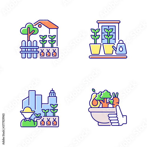 Hobby farming RGB color icons set. Backyard garden. Watering plants in pots on windowsill. Urban agriculture. Healthy food from farmer market. Organic crop. Isolated vector illustrations