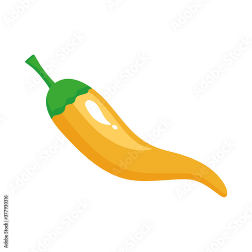 yellow chili pepper vegetable in white background vector illustration design