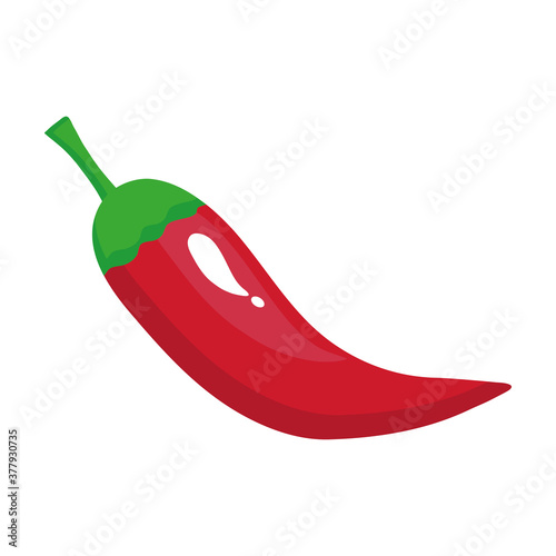 red chili pepper vegetable in white background vector illustration design