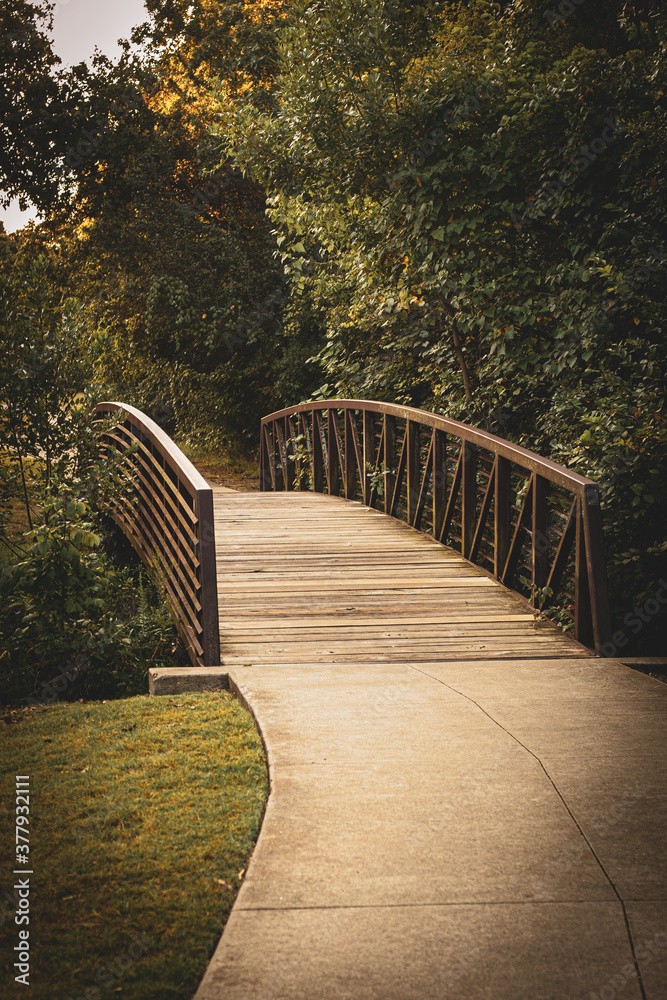 Rustic iron bridge walking path on fall day