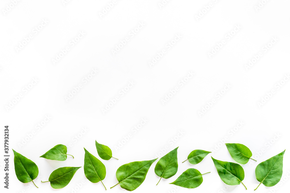 Lauout of green leaves - nature background. Top view Lauout of green leaves - nature background. Top view