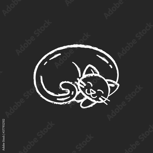 Curled up cat chalk white icon on black background. Cute domestic sleeping animal. Kitten napping. Hygge lifestyle. Little fluffy pet. Coziness mood. Isolated vector chalkboard illustration