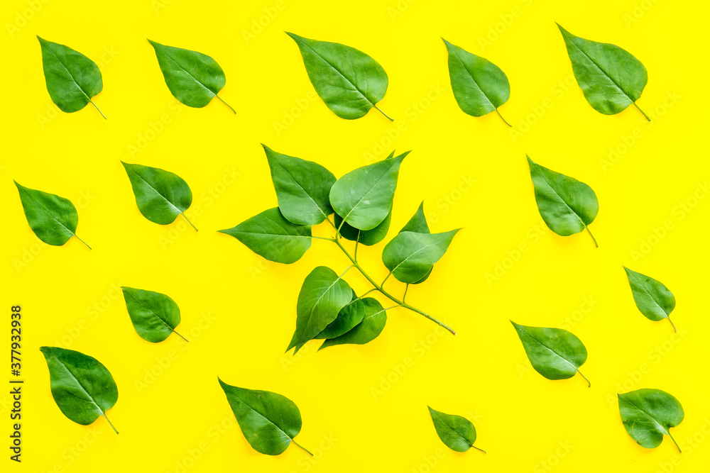 Lauout of green leaves - nature background. Top view