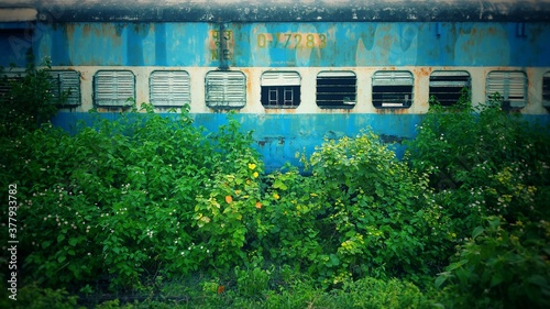 Old railway coach covered by green leaves and nature looking amazing in form of background. 