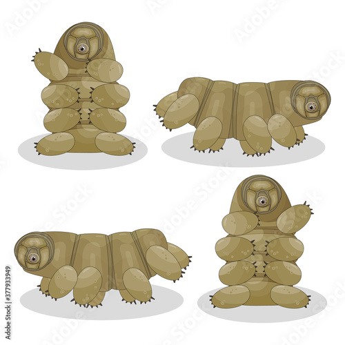 Brown isolated happy quirki cute cartoon vector tardigrade is sitting, running, jumping on white background