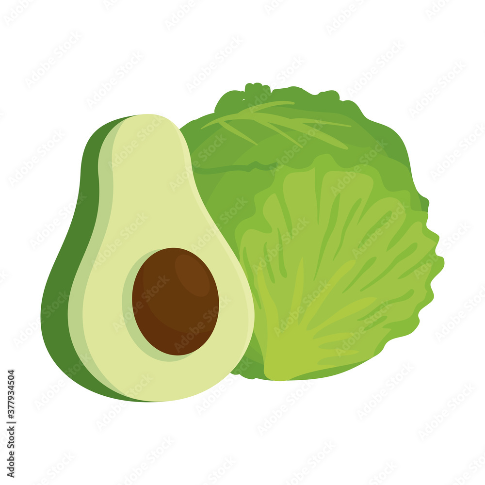 fresh healthy lettuce with fresh avocado, on white background vector illustration design fresh healthy lettuce with fresh avocado, on white background vector illustration design
