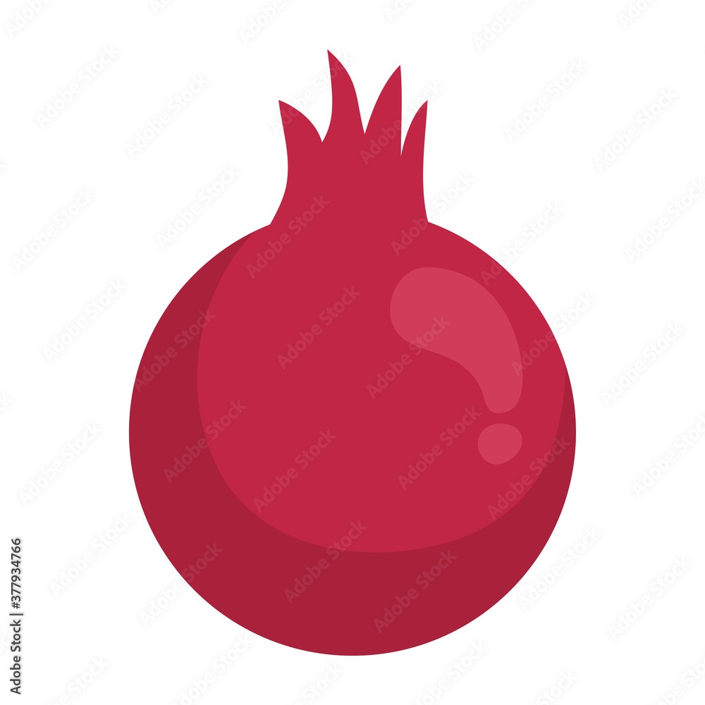 Obraz ripe pomegranate, on white background vector illustration design