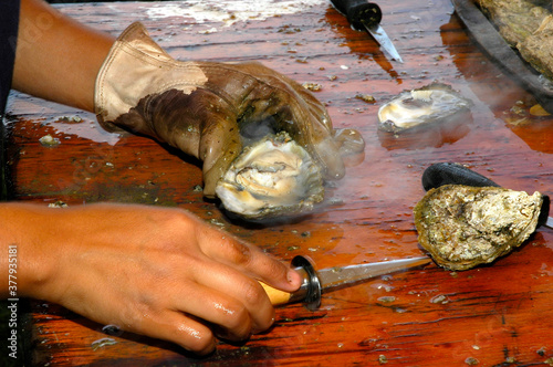 Принти на полотні Freshly shucked oyster that was just cooked on an outdoor grill in the unopened full shell in St
