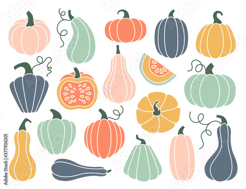 Set of hand drawn pumpkin of various shapes and pastel colors. Flat pumpkins and squash. Vector elements for thanksgiving, harvest and halloween.