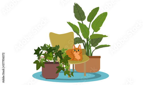 A large ginger cat is sitting in a chair. The interior of a cozy room. Furniture, potted potted flowers and a carpet under the chair. Vector illustration
