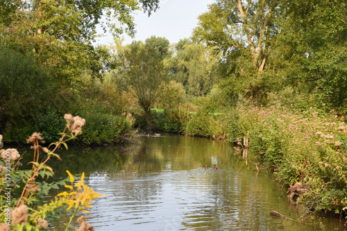 see in neuss hombroich, deutschland photo