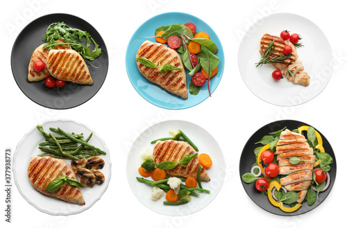 Set of grilled chicken breasts on white background, top view