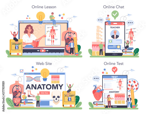 Anatomy online service or platform set. Internal human organ studying