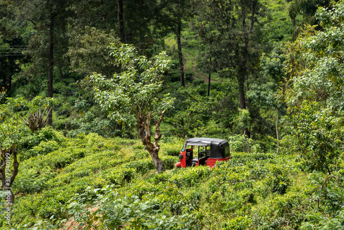 Fragment of a red motorcycle taxi in the mountain forest on the island of Sri Lanka