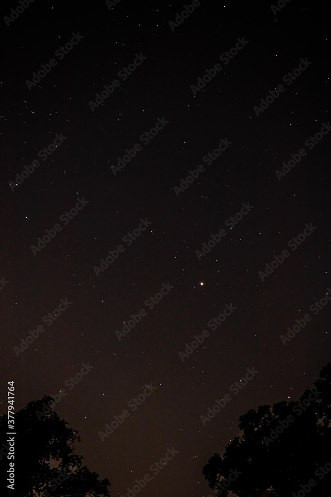 Fototapeta premium starry night sky