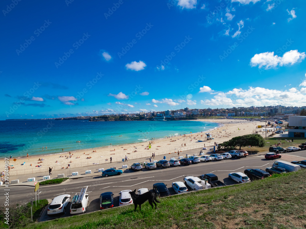 Bondi Beach Sydney NSW Australia Bondi Beach Sydney NSW Australia