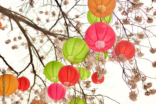 Colorful Lanterns are hung for Festival