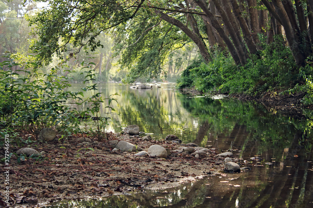 Green forest, river and reflections
Green forest, river and reflections