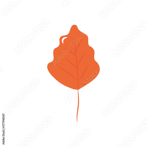 Fototapeta Naklejka Na Ścianę i Meble -  birch leaf icon, flat style