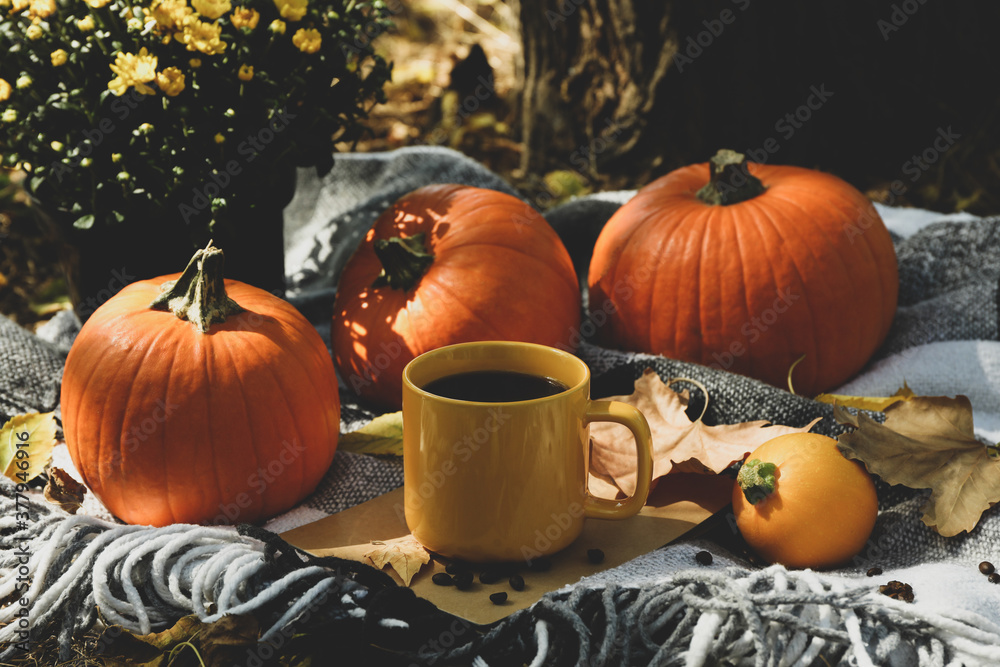 Cozy autumn concept with pumpkins and cup of coffee outdoor - obrazy, fototapety, plakaty 