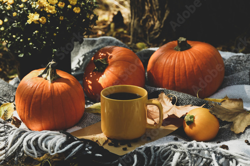 Cozy autumn concept with pumpkins and cup of coffee outdoor