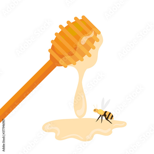 honey dipper stick with bee, on white background vector illustration design