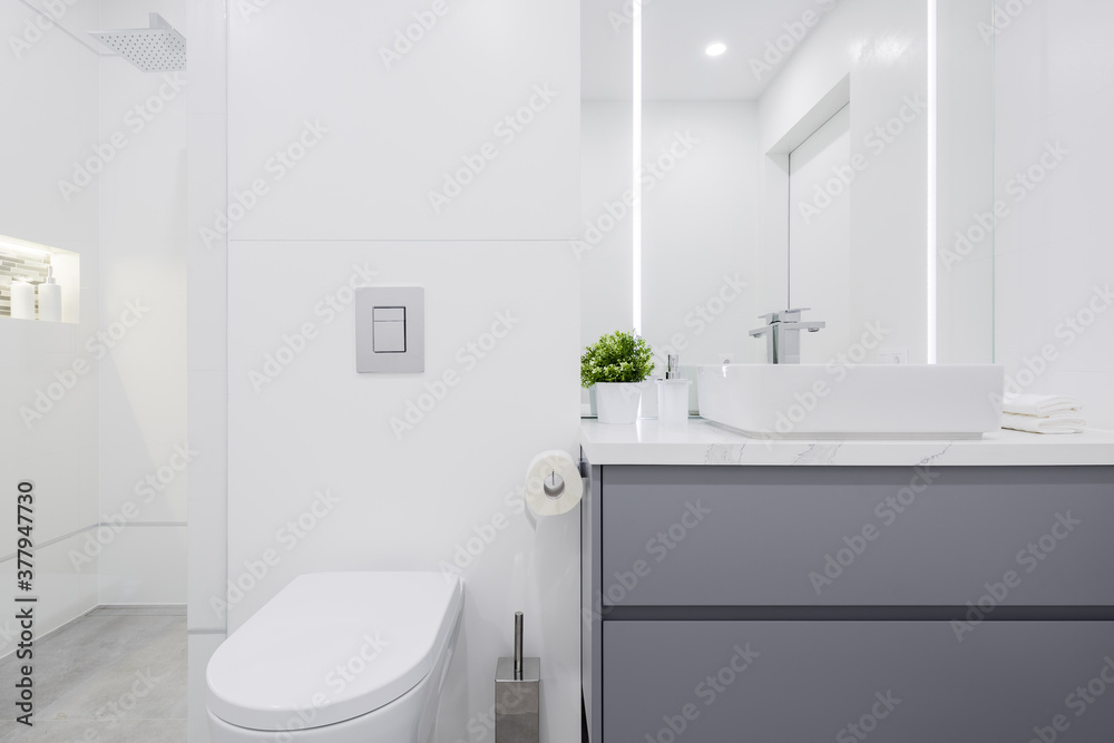 Small white bathroom - obrazy, fototapety, plakaty 