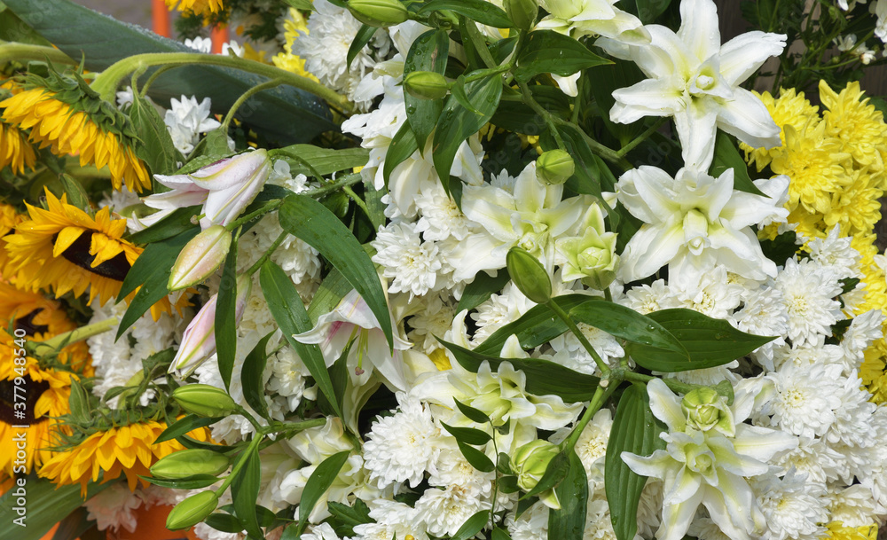 Floral arrangement of fresh flowers.