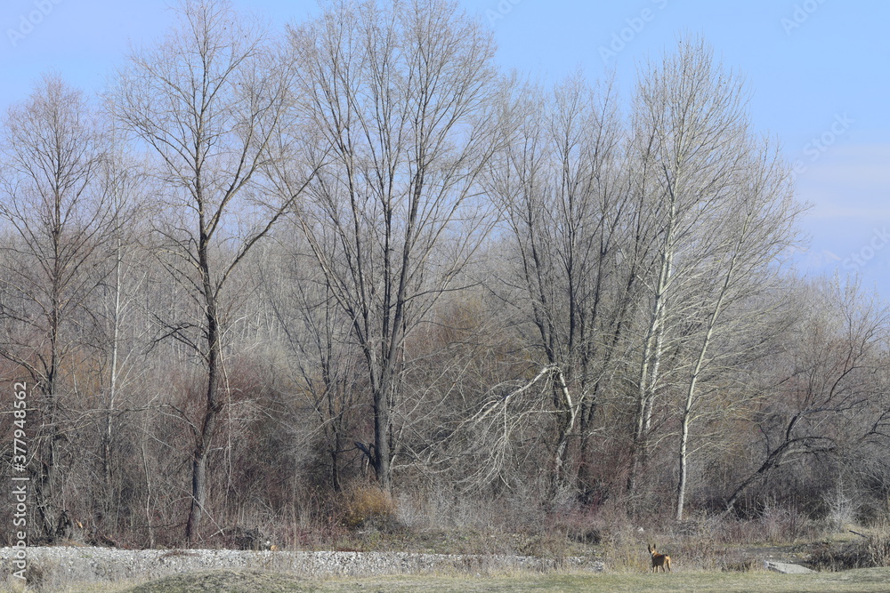 Allphotokz Taldykorgan Nature 20161110 1550 D810 S Allphotokz Taldykorgan Nature 20161110 1550 D810 S