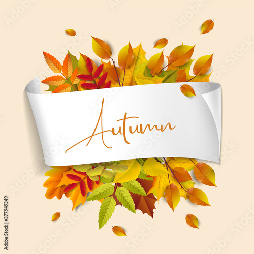 Greetings and gifts for the autumn and autumn season concept. Autumn background, poster and banner template with colorful autumn leaves.
