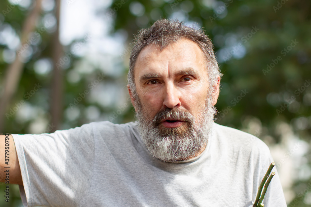 Portrait of an elderly man with a beard in the park. Portrait of an elderly man with a beard in the park.