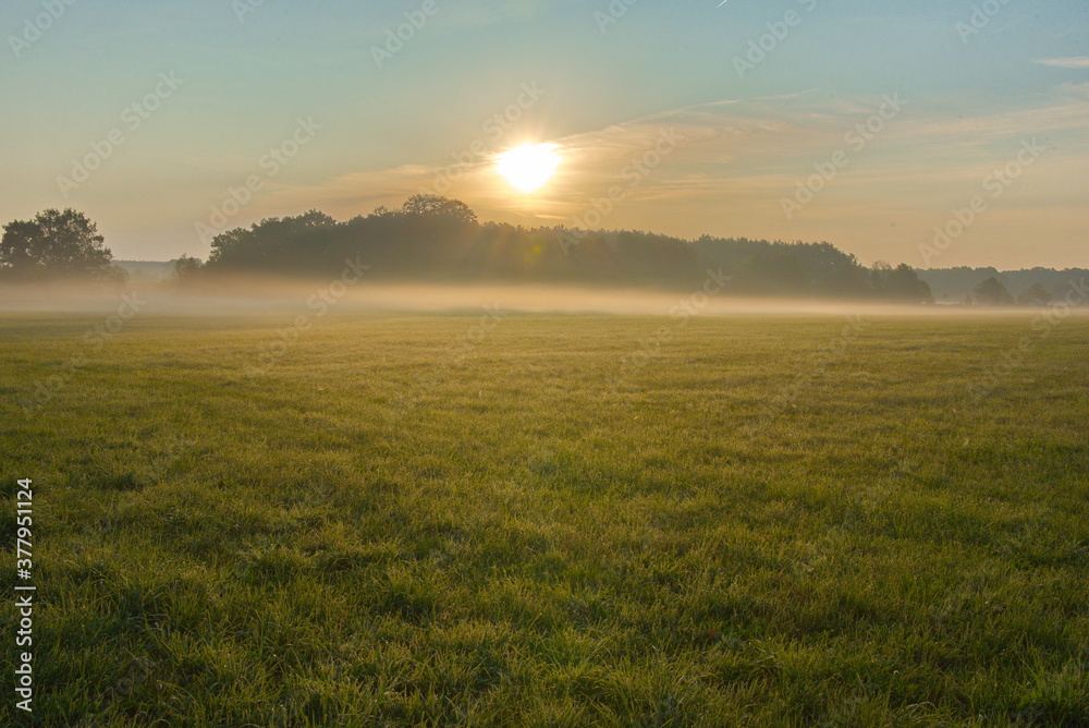 Sunrise near Stangenhagen, nature park Nuthe-Nieplitz, state Brandenburg (Germany) 